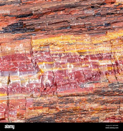Colorful close-up of banded petrified wood with horizontal layers of red, orange, and yellow ... - Horizontal Layers