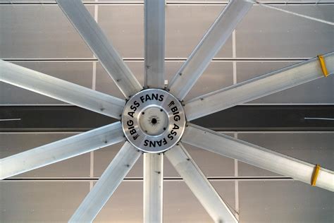 For those who are big ass fans : r/OnlyFans