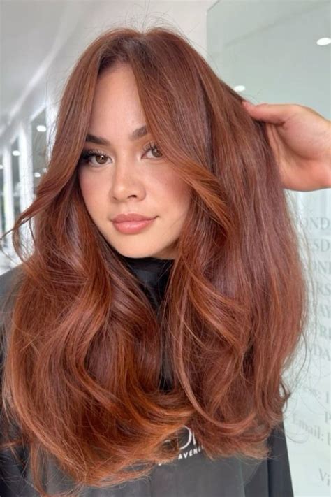 Pin by Diolaa Musso 🦋 on Hair colour 🌈 | Copper brown hair, Hair color auburn, Red hair inspo