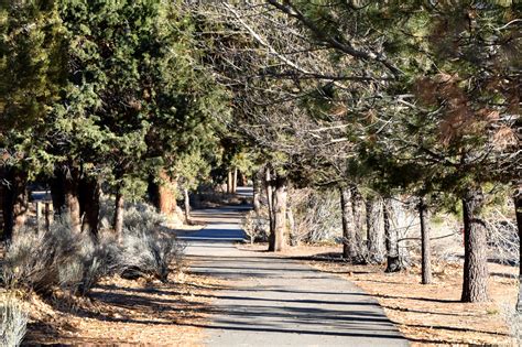 Hiking in Big Bear – Destination Big Bear