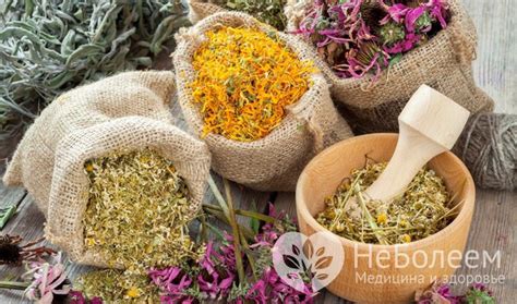 10 народных средств для лечения миомы