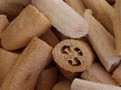 Mediterranean Spirit - What is loofah and what is it used for? - Blog