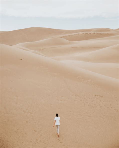 Scarlett O'Hara, Racism, and a Damn Good Read | by Tracy Falbe | Medium