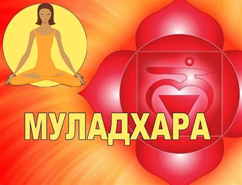 Чакра Муладхара - каковы ее функции