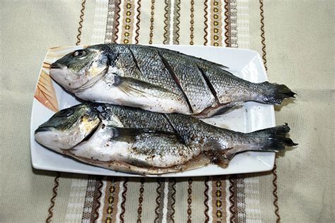Дорадо (золотистый спар): что за рыба, польза и вред для организма, как ...