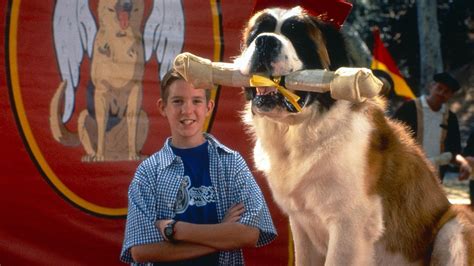 Assistir Assistir Beethoven 4 Online Online em HD Dublado - Amazflix