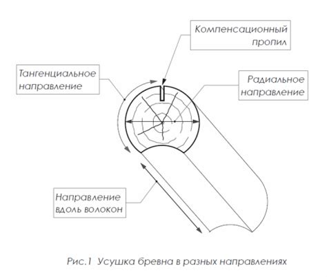 Усушка древесины: классификация, проявление на практике