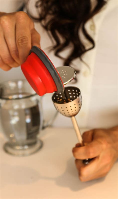 Loose Leaf Stainless Steel Tea Infuser (Strainer / Stepeer) with Easy ...