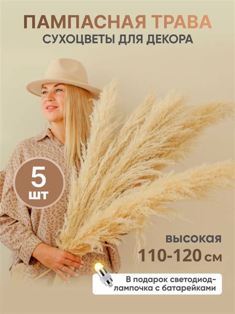 Пампасная трава кортадерия сухоцветы высокая 110-120 см 5 штук купить ...
