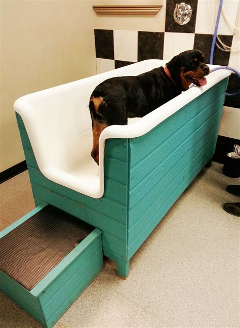 Dog Bathtub For Large Dogs at Lilian Caron blog