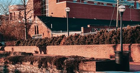 Maryland Business Search