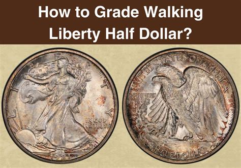 How to Grade Walking Liberty Half Dollar? - CoinValueChecker.com