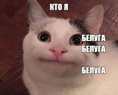 Мем: "КТО Я БЕЛУГА БЕЛУГА БЕЛУГА" - Все шаблоны - Meme-arsenal.com