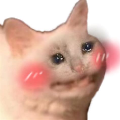 Sad Cat Memes PNG Pic - PNG Mart