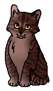 Кисточка | Коты-воители вики | Fandom