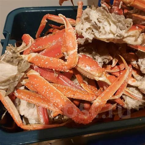 Краб камчатский - Рыба и морепродукты во Владивостоке