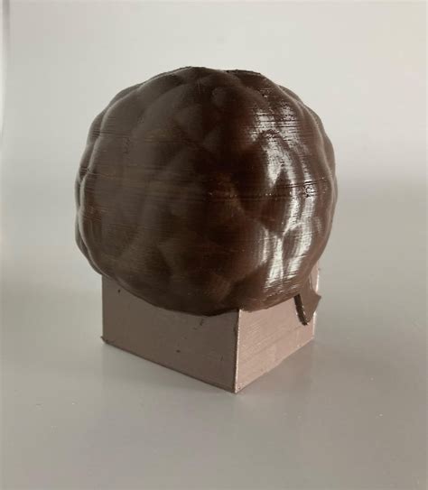 What’s it called when, Troy know they did it but they’re sorry? : r ...