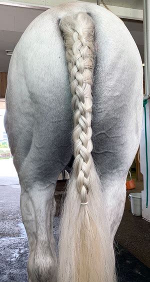 関連する画像の詳細をご覧ください。馬を編む | 糸井いくみ | 競馬女子部