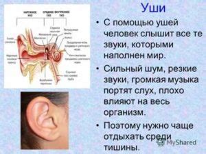 Одно ухо хуже слышит - Ваш доктор