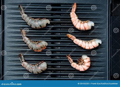 Shrimp on Grill stock photo. Image of prawn, color, preparation - 20155220