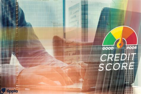 Credit Scores for Small Business Owners in Australia | Tippla
