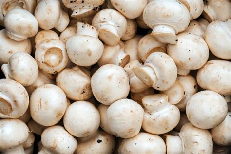 Mushrooms Button Spray Free