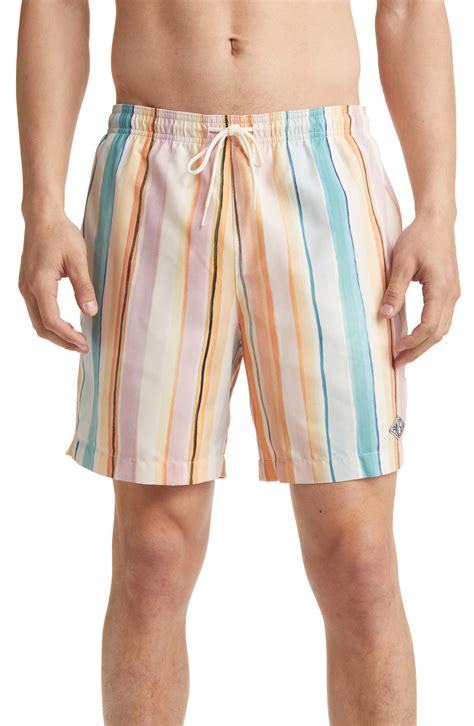 PacSun + Watercolor Stripe Swim Trunks