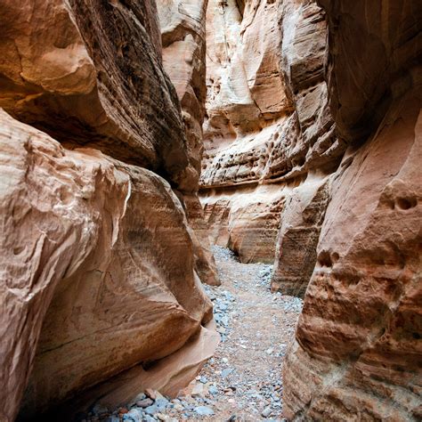 White Domes Loop in Overton, NV (With Photos)