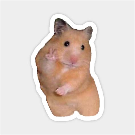 Peace Hamster by tojfun | Hamster, Custom magnets, Peace sign
