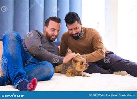 Gay Couple Sitting on the Bed Playing with Their Pet. they are Looking ...