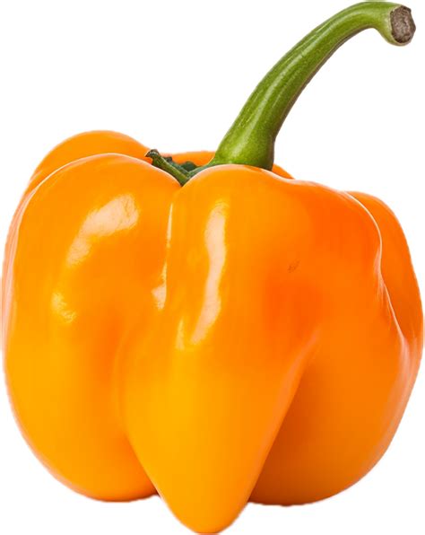 AI generated orange habanero pepper png 34763769 PNG