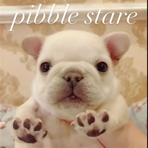 i was talking to one of my friends yesterday and i had the BRILLIANT ...