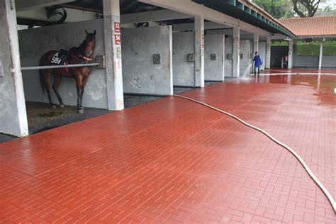 Outdoor rubber tile - Buy 1m x 1m rubber tiles, horse stable flooring ...