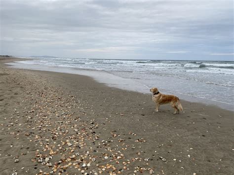 4th Stop – Nudist Village Port Du Cap D’Agde France – Happys Reisen