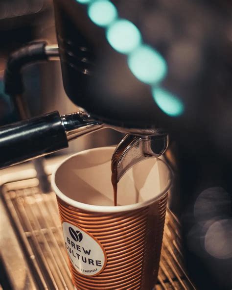 Freshly Roasted Coffee | Coffee Shop In Pune | Brew Culture