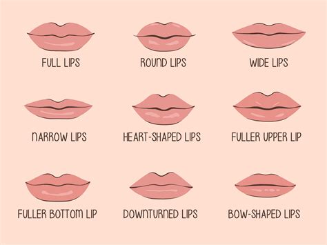 Do You Have Heart-Shaped Lips? Here’s How to Get Them