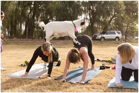 I Tried Goat Yoga and It Was Surprisingly Zen | Glamour
