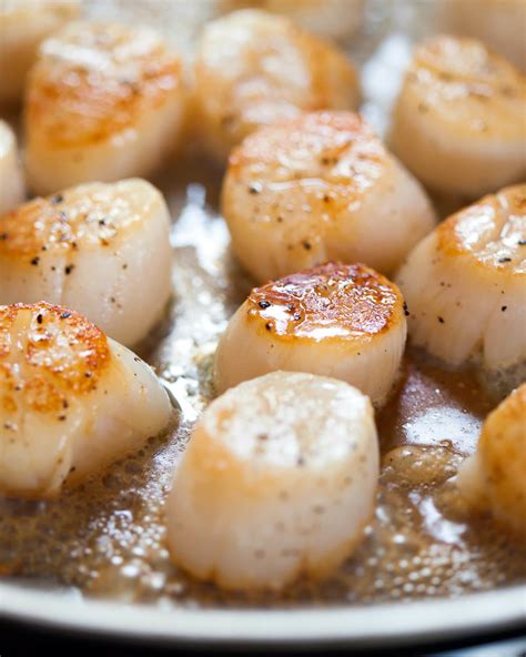 What Temperature Do You Sear Scallops at Henry Street blog