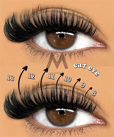 Cat Eye Lash Map 😻 | Lashes, Eyelash extensions, Lashes tutorial