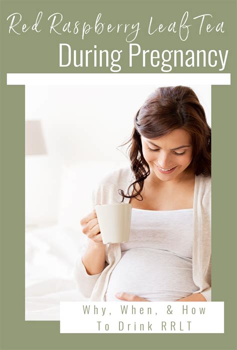 Red Raspberry Leaf Tea During Pregnancy - The Pistachio Project