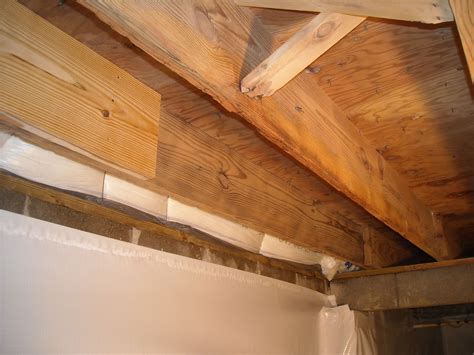 How To Treat Mold On Floor Joist at Eliza Erik blog