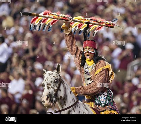 Florida state university mascot hi-res stock photography and images - Alamy