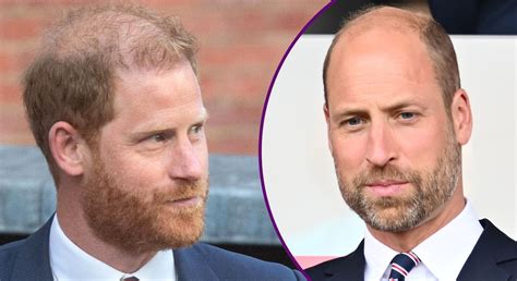 Prince Harry 'caused too much damage' to William and royal family for ...