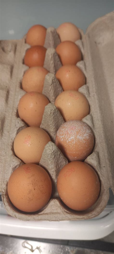 Are these eggs safe to eat? I got them from the store like that, also ...