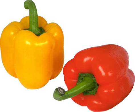 Bell Pepper Sweet, Cooking, Organic, Colorful, Crunchy PNG