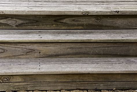 A Darwinist’s Declension (Nude Descending a Staircase) | Discovery ...