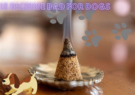 Is incense bad for dogs – Suffolk Candles