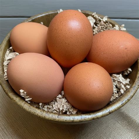 The Pasture Farms - Rare Poultry & Hatching Eggs