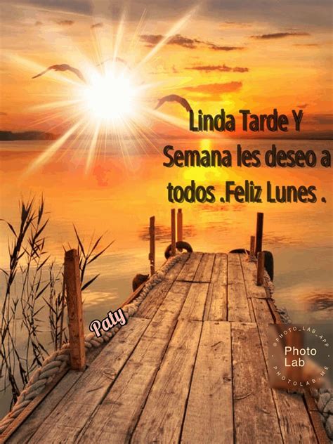 Feliz Tarde para todos | Mensajes de buenas tardes, Feliz viernes ...