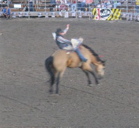 Fiesta Days Rodeo!!!! | ryanandheatherarthur